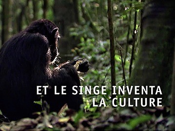 Et le singe inventa la culture