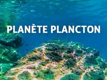 Planète plancton