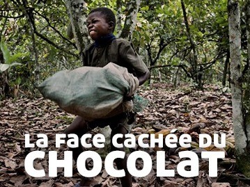 La face cachée du chocolat